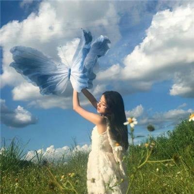 什么鸟日子